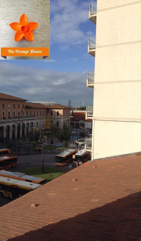 The Orange House